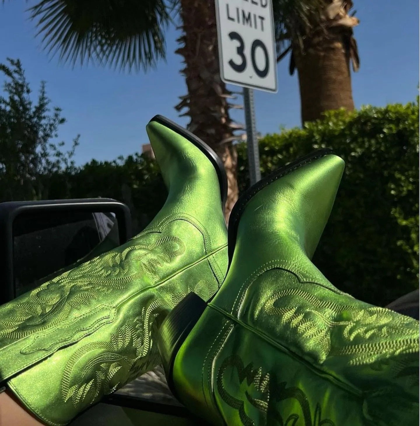 Cowboy boots Elektra